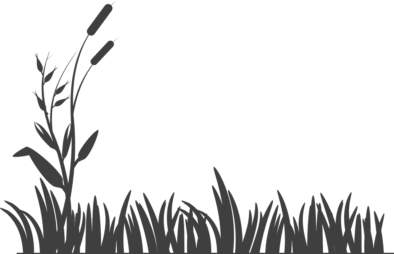 Organic Farming Background